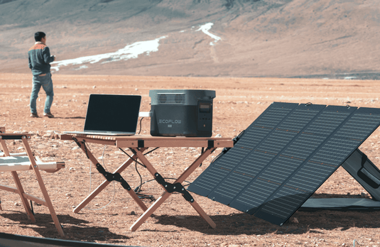 EcoFlow NextGen 220W Bifacial Portable Solar Panel