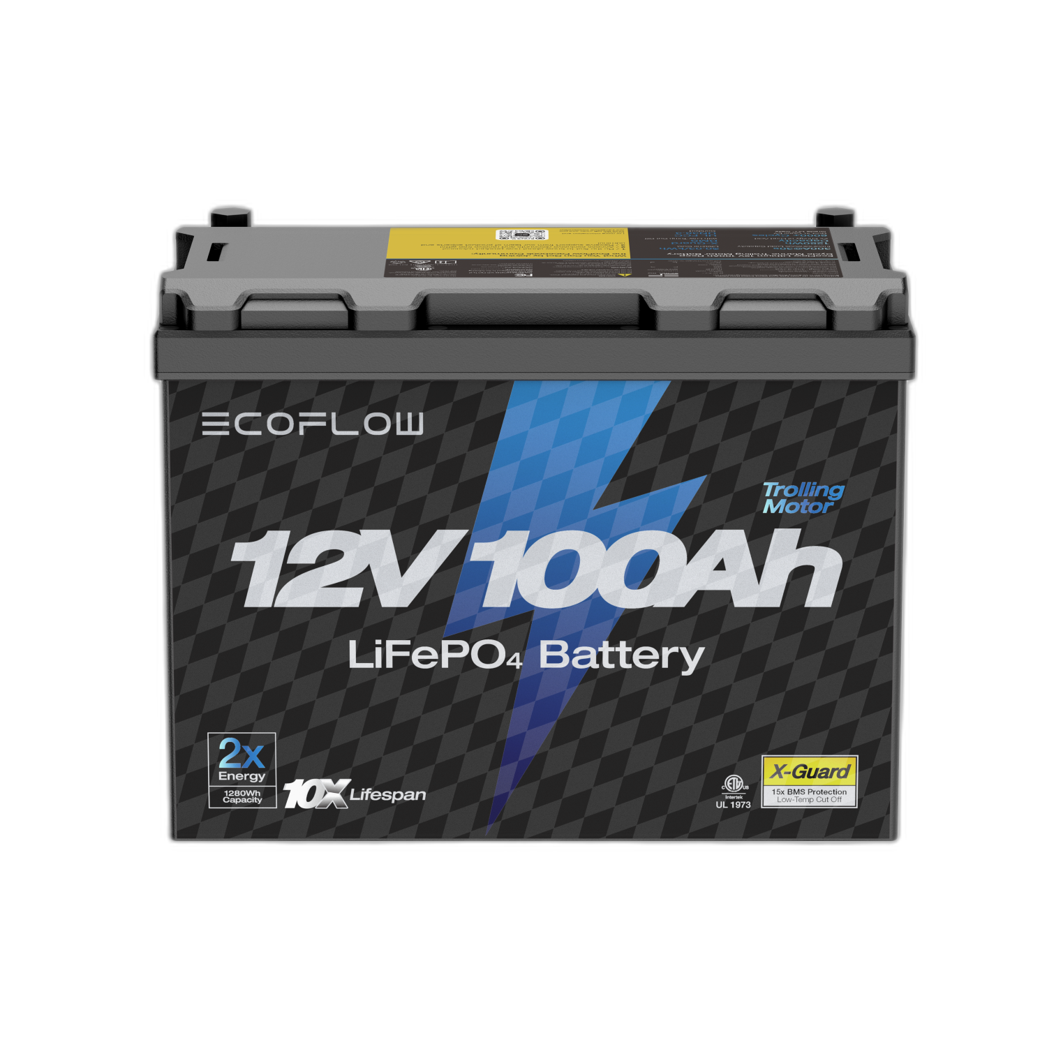Load image into Gallery viewer, EcoFlow 12V 100Ah Lithium Trolling Motor Battery