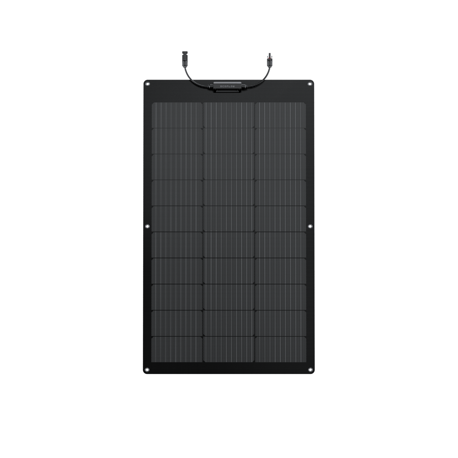 Load image into Gallery viewer, EcoFlow 100W Flexible Solar Panel