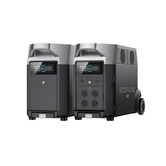 EcoFlow DELTA Pro + Smart Extra Battery