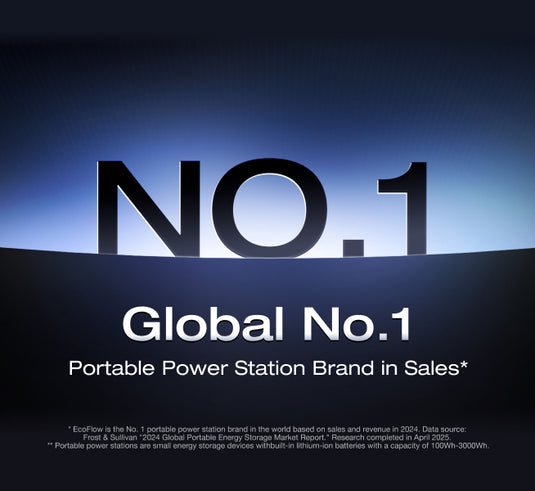 Globle No.1
