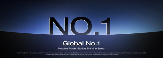 Globle No.1